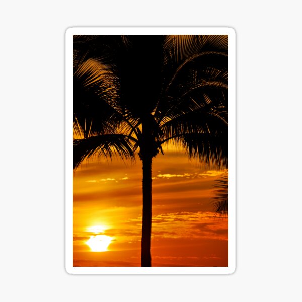 Item preview, Mexican Sunset and Palm Tree designed and sold by Rae Tucker Photography & Designs.