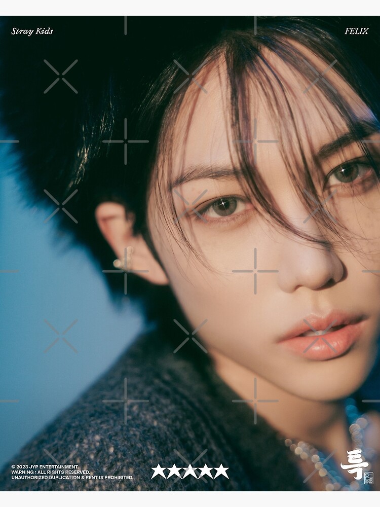 Amazon.co.jp: STRAY KIDS ストレイキッズ スキズ K-POP グッズ