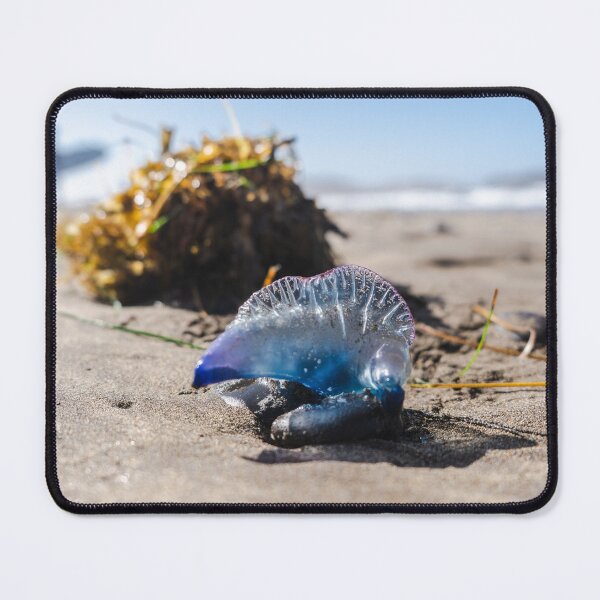 Item preview, Portuguese Man O' War Jellyfish Famara Beach Lanzarote Surf designed and sold by SmileMoreAgain.