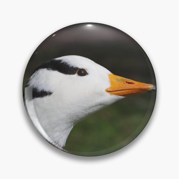 Item preview, Bar headed goose I designed and sold by GreyFeatherPhot.