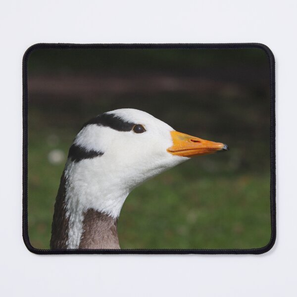 Item preview, Bar headed goose I designed and sold by GreyFeatherPhot.