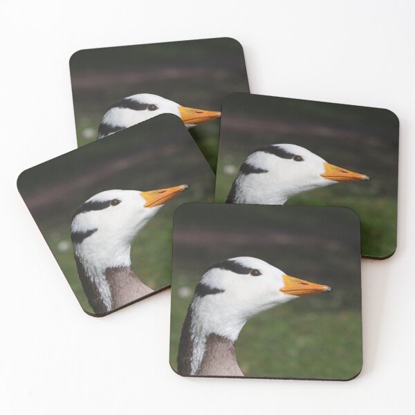 Item preview, Bar headed goose I designed and sold by GreyFeatherPhot.