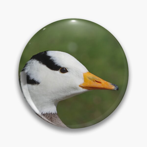 Item preview, Bar headed goose II designed and sold by GreyFeatherPhot.