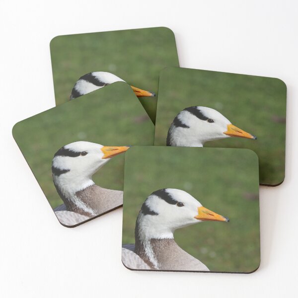 Item preview, Bar headed goose II designed and sold by GreyFeatherPhot.