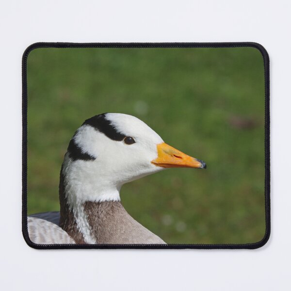 Item preview, Bar headed goose II designed and sold by GreyFeatherPhot.
