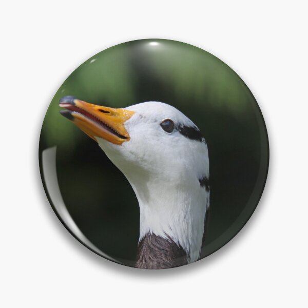 Item preview, Bar headed goose III designed and sold by GreyFeatherPhot.