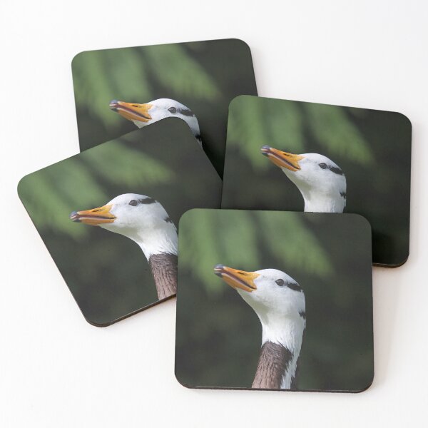 Item preview, Bar headed goose III designed and sold by GreyFeatherPhot.