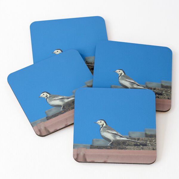 Item preview, Rooftop wagtail designed and sold by GreyFeatherPhot.