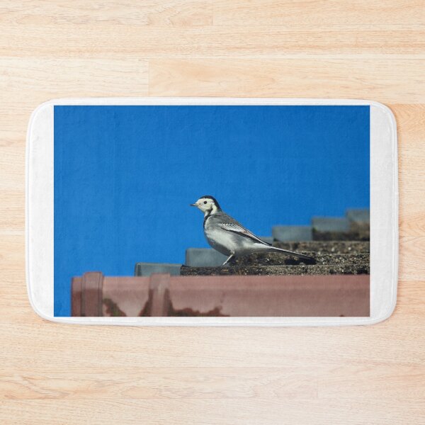Item preview, Rooftop wagtail designed and sold by GreyFeatherPhot.
