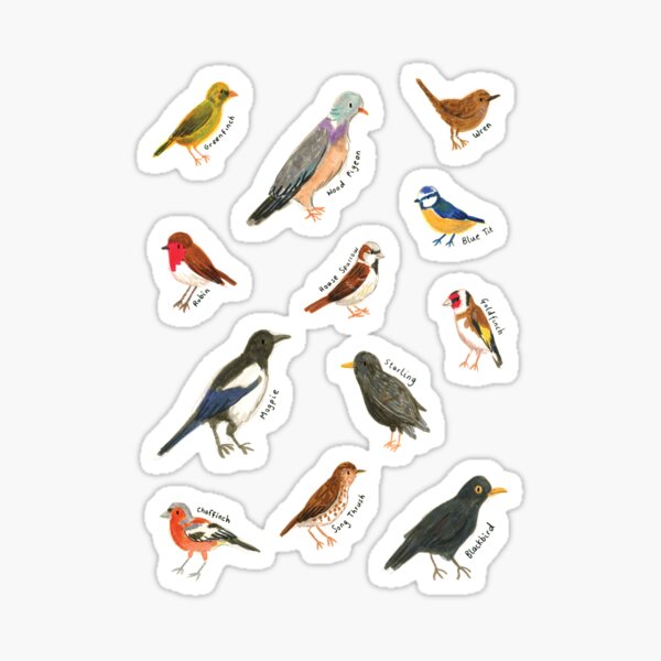 Beautifully Designed Bird Breed Sticker Set Sticker for Sale by Claire  Stamper