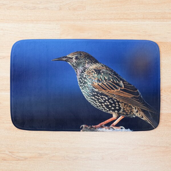 Item preview, Sunlit starling designed and sold by GreyFeatherPhot.