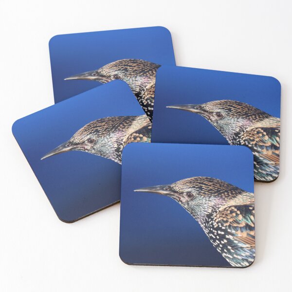 Item preview, Starling iridescence designed and sold by GreyFeatherPhot.