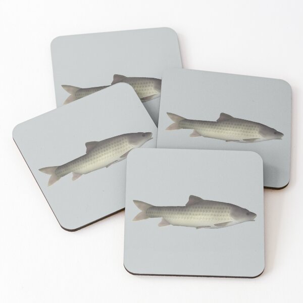 Item preview, Ripon Barb designed and sold by fishfolkart.