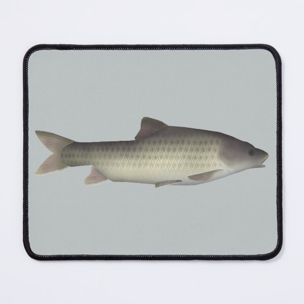Item preview, Ripon Barb designed and sold by fishfolkart.