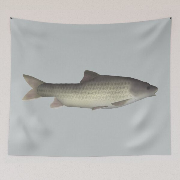 Item preview, Ripon Barb designed and sold by fishfolkart.