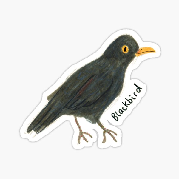 Blackbird Sticker