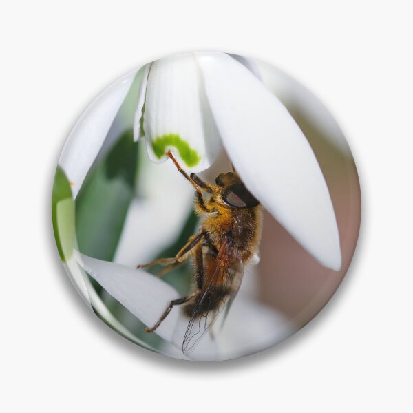 Item preview, Hoverfly searching for nectar designed and sold by GreyFeatherPhot.