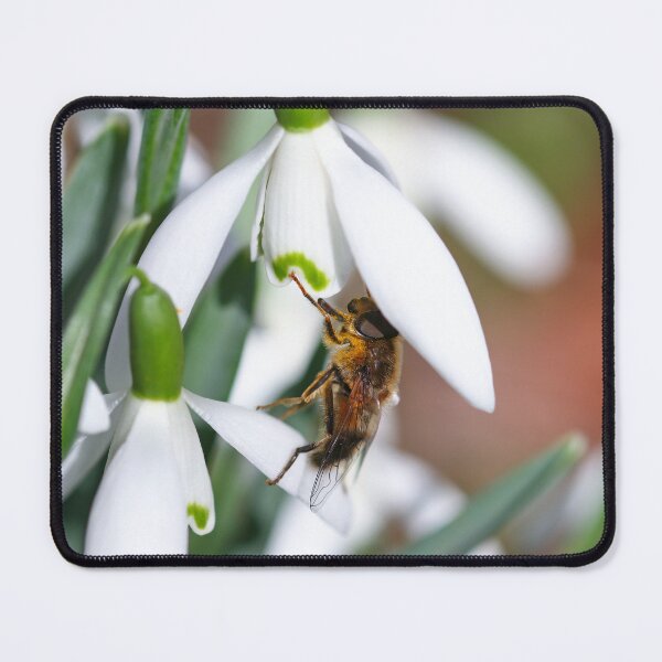 Item preview, Hoverfly searching for nectar designed and sold by GreyFeatherPhot.