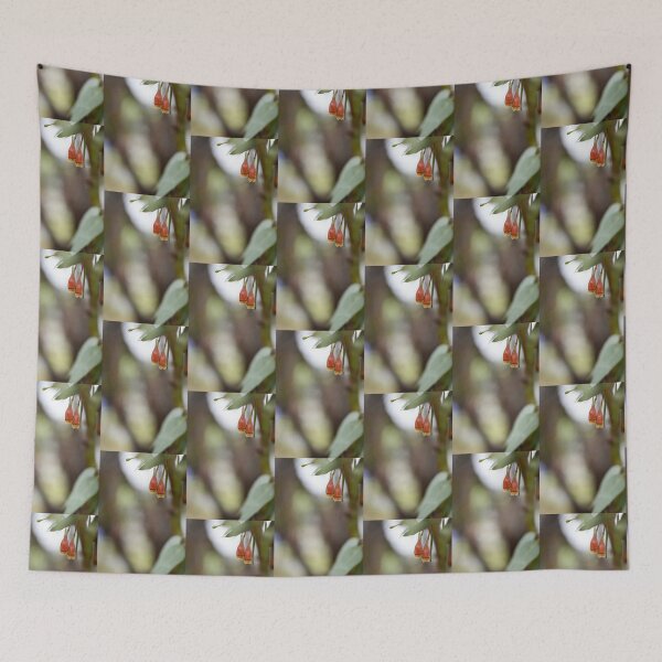 Item preview, Gorgeous Orange Gumnuts designed and sold by imaginethis.