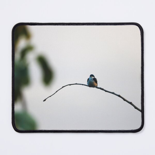 Item preview, Tree Swallow designed and sold by OhSnapPhoto.