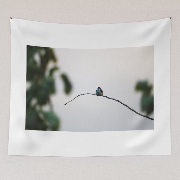 Item preview, Tree Swallow designed and sold by OhSnapPhoto.