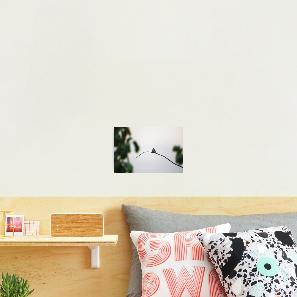 Item preview, Photographic Print designed and sold by OhSnapPhoto.