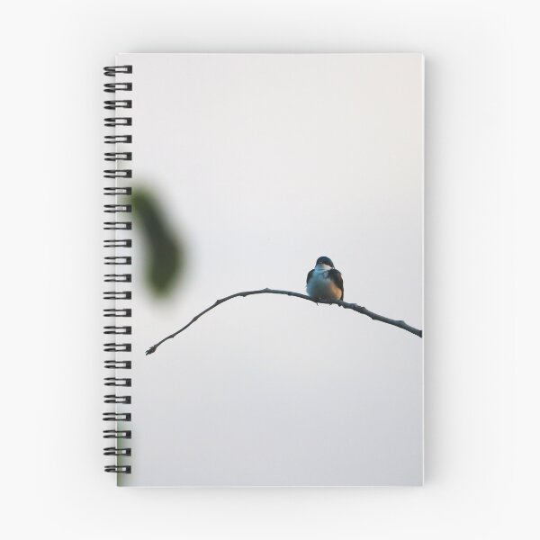 Item preview, Tree Swallow designed and sold by OhSnapPhoto.