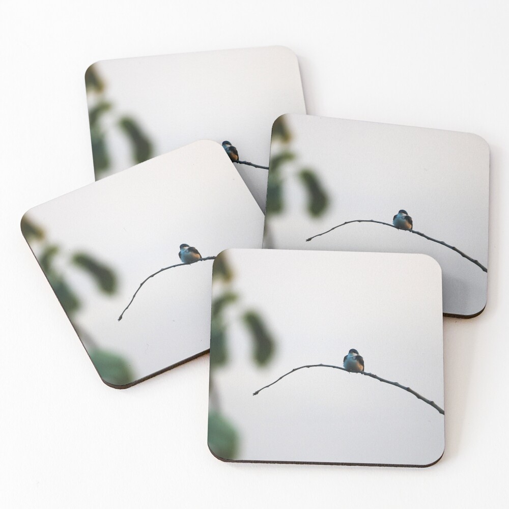 Item preview, Coasters (Set of 4) designed and sold by OhSnapPhoto.