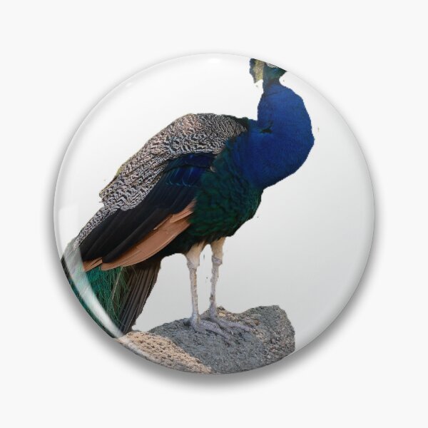 Item preview, Peacock designed and sold by JackmanHouse.