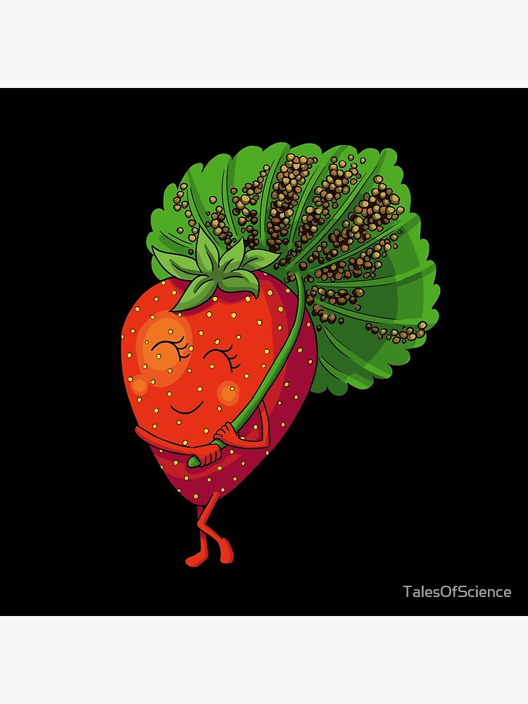 fibonacci sequence in strawberries