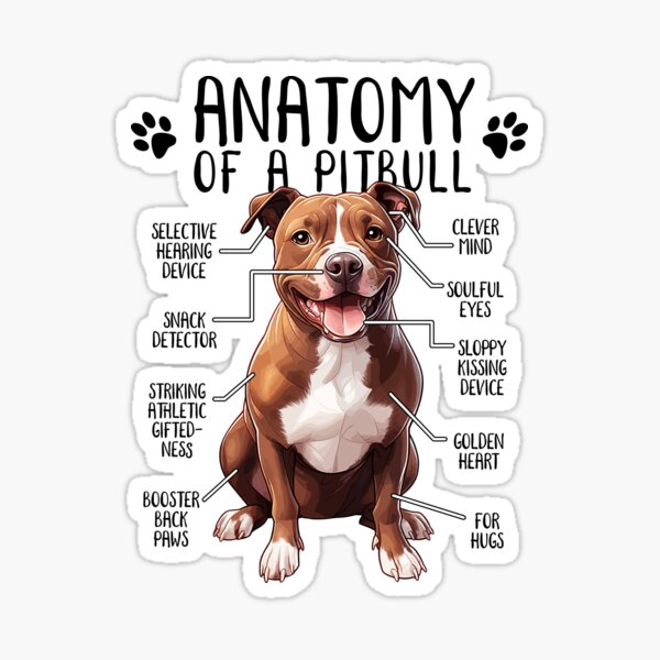 Item preview, Funny Pitbull Anatomy American Pit Bull Terrier Dog Pittie Lover designed and sold by lanynx design.