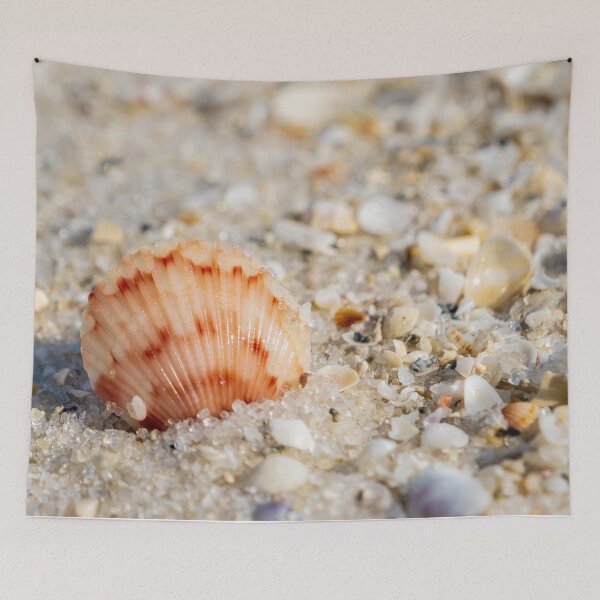 Item preview, Orange Scallop Shell designed and sold by TinyDinoDesigns.