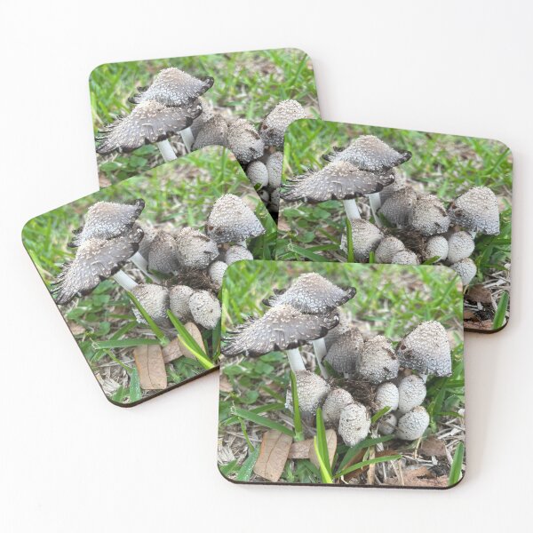 Item preview, mushrooms designed and sold by Ambrose Le Fae.