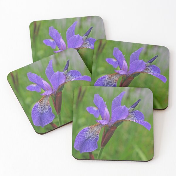 Item preview, Picture of Lily, May 2023 designed and sold by RedHillDigital.