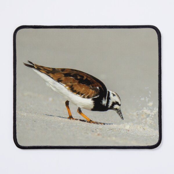 Item preview, Searching For Food | Bird On Beach designed and sold by TinyDinoDesigns.