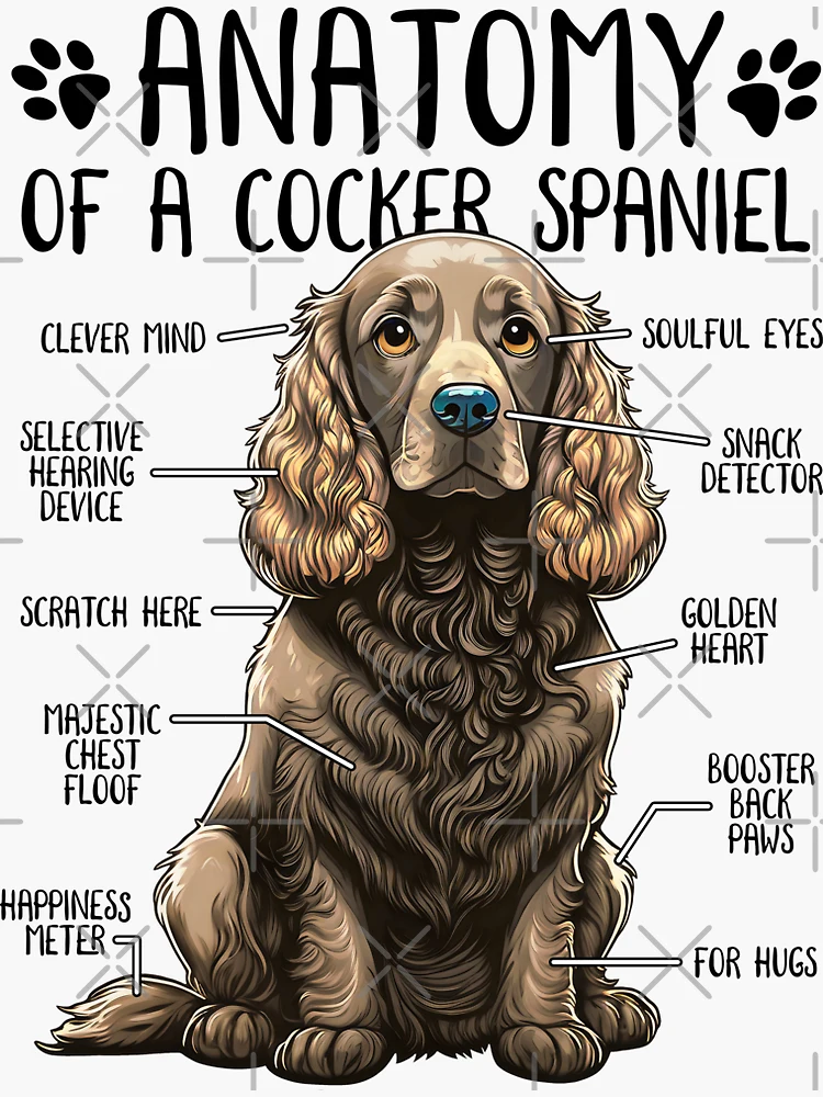 Funny Cocker Spaniel Anatomy Cocker Spaniel Dog Lover