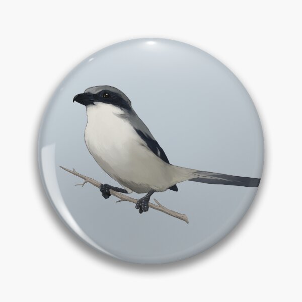 Item preview, Loggerhead Shrike designed and sold by megansartshop.