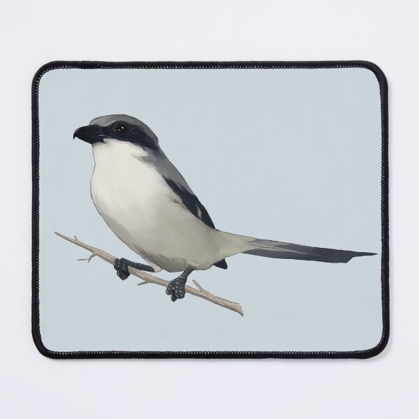 Item preview, Loggerhead Shrike designed and sold by megansartshop.