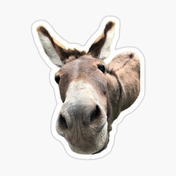 Item preview, Curious donkey designed and sold by Cloch-art.