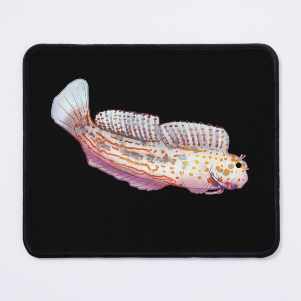 Item preview, Cozy Blenny designed and sold by Phoenix of Starlight.