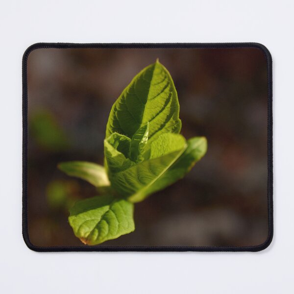 Item preview, Abstract Spring Green Leaves designed and sold by couragesings.