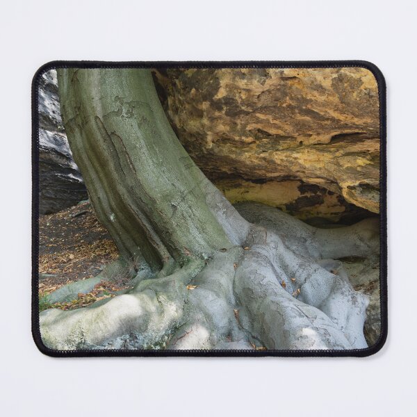 Item preview, A tree, its strong root and sandstone 2 designed and sold by Heidemüllerin.