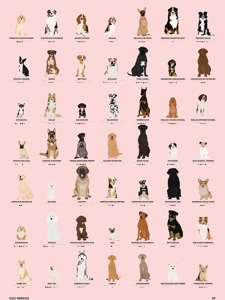 Breeds Nations Top 100 Dogs Pet What Is The Most Popular Dog Breed