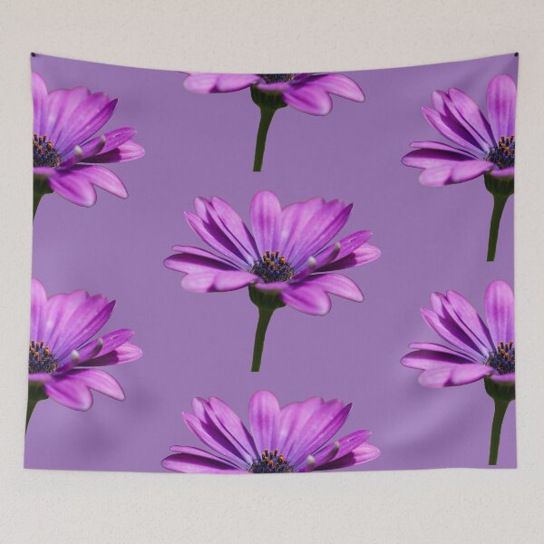 Item preview, Bornholm daisy (Osteospermum ecklonis) flower designed and sold by marcrolandscape.