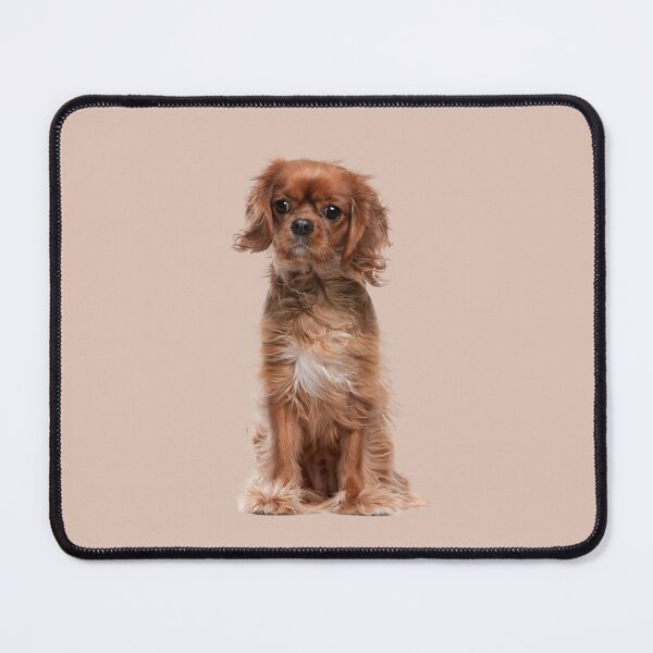 Item preview, Cavalier King Charles Spaniel designed and sold by thecavapootales.