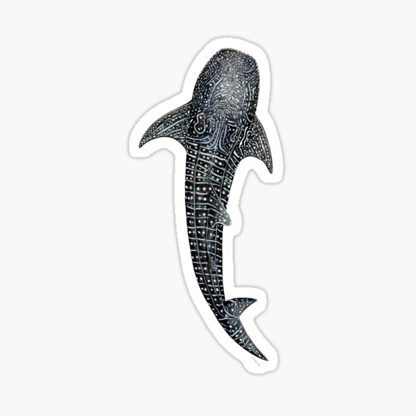 Whale shark for divers, shark lovers and fishermen Sticker