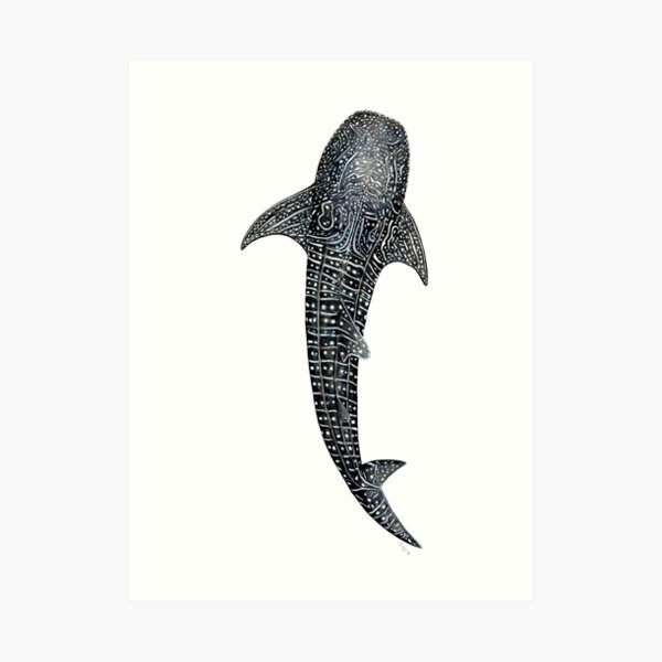 Tiburón ballena para buceadores, amantes de los tiburones y pescadores Lámina artística