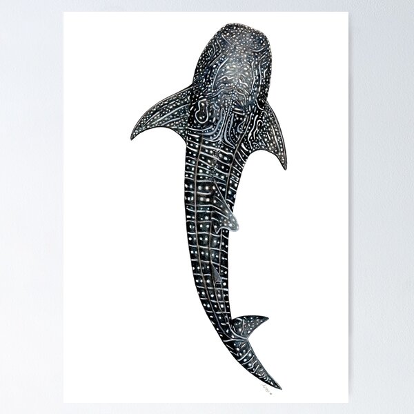 Vista previa del artículo con la obra «Tiburón ballena para buceadores, amantes de los tiburones y pescadores», diseñado y vendido por chloeyzoard.
