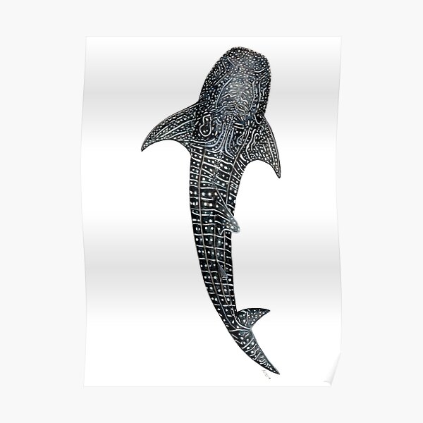 Whale shark for divers, shark lovers and fishermen Poster