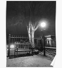 Snow cold by lamp light Poster
